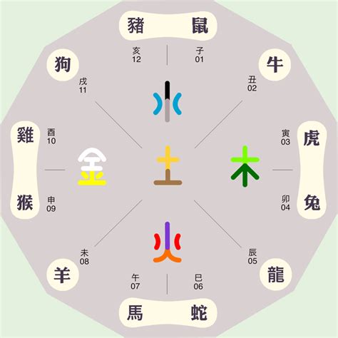 動物五行|如何区分动物的五行属性？